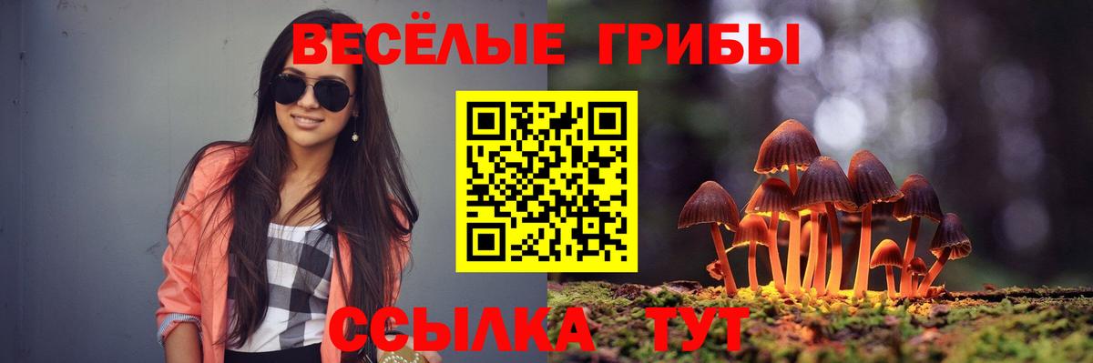 Мирный  Псилоцибиновые грибы Magic Shrooms  Вход с VPN 